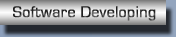 Software Developing